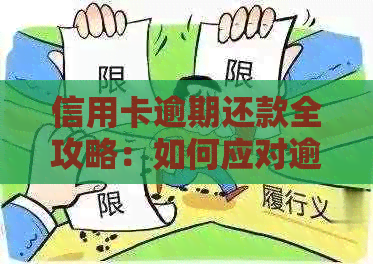 信用卡逾期还款全攻略：如何应对逾期、降低利息及恢复信用？