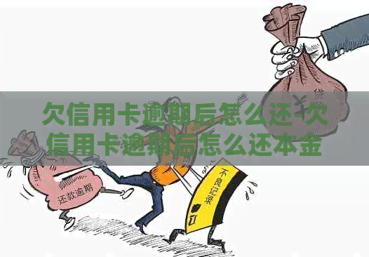 欠信用卡逾期后怎么还-欠信用卡逾期后怎么还本金