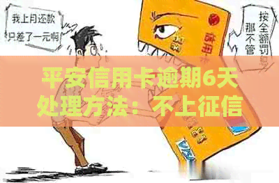 平安信用卡逾期6天处理方法：不上关键步骤解析