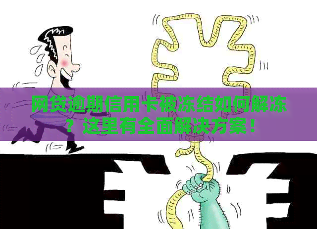 网贷逾期信用卡被冻结如何解冻？这里有全面解决方案！