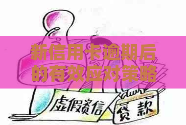新信用卡逾期后的有效应对策略及建议，从此告别财务困境！