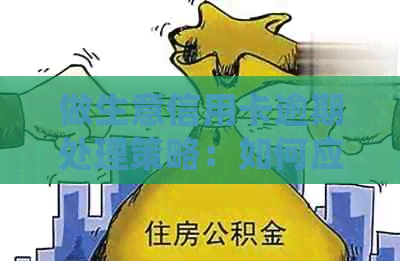 做生意信用卡逾期处理策略：如何应对并避免债务危机
