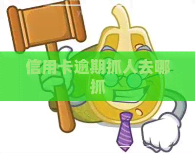 信用卡逾期抓人去哪抓