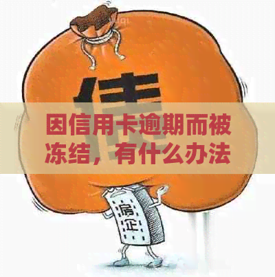 因信用卡逾期而被冻结，有什么办法可以解冻？