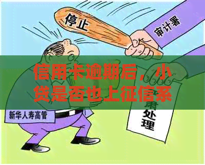 信用卡逾期后，小贷是否也上系统？解答疑惑并探讨影响因素