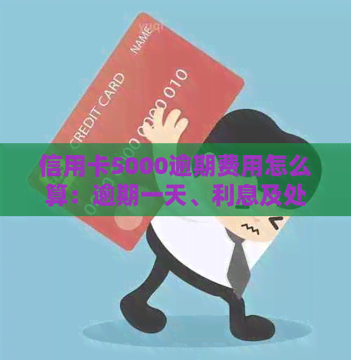 信用卡5000逾期费用怎么算：逾期一天、利息及处理方法详解