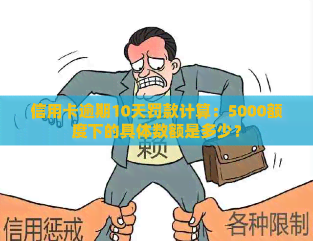 信用卡逾期10天罚款计算：5000额度下的具体数额是多少？