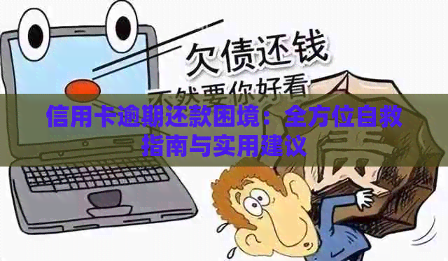 信用卡逾期还款困境：全方位自救指南与实用建议