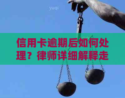 信用卡逾期后如何处理？律师详细解释走程序的相关事项