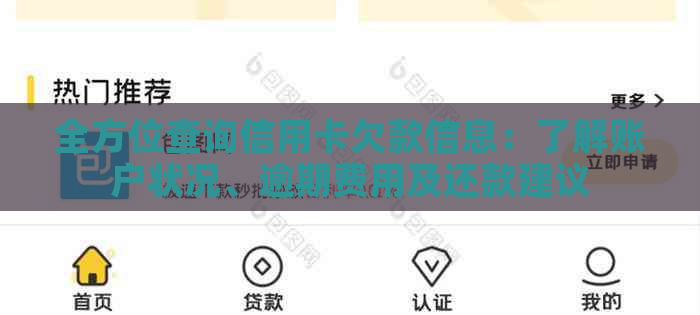 全方位查询信用卡欠款信息：了解账户状况、逾期费用及还款建议