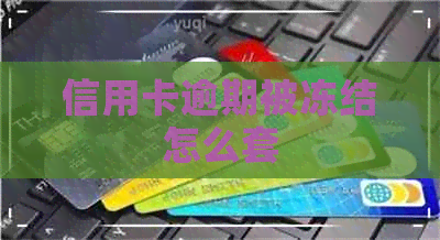 信用卡逾期被冻结怎么套
