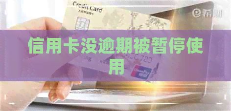 信用卡没逾期被暂停使用