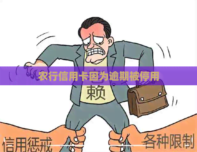 农行信用卡因为逾期被停用