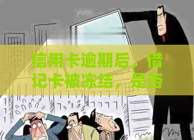 信用卡逾期后，借记卡被冻结，是否还可以办理新的银行卡？