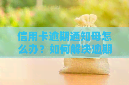 信用卡逾期通知母怎么办？如何解决逾期问题并避免影响家庭关系？