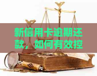 新信用卡逾期还款，如何有效控制利息成本？