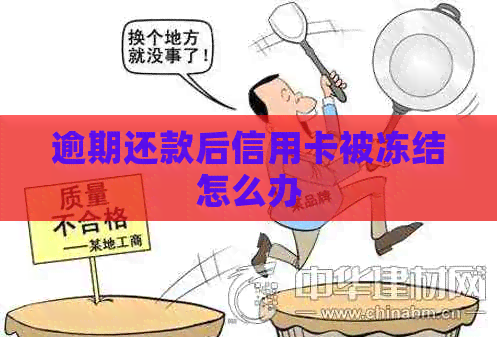 逾期还款后信用卡被冻结怎么办