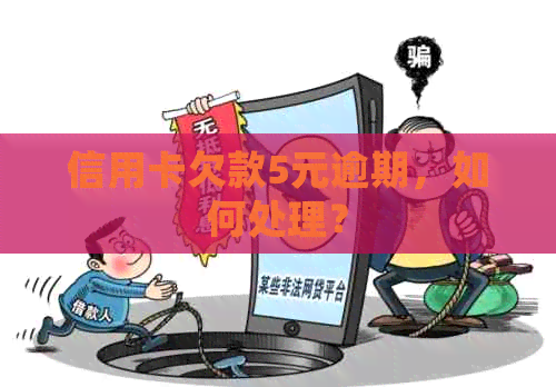 信用卡欠款5元逾期，如何处理？