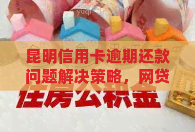 昆明信用卡逾期还款问题解决策略，网贷业务应对指南