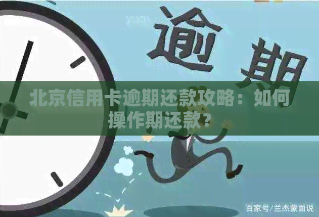 北京信用卡逾期还款攻略：如何操作期还款？