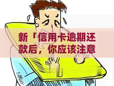 新「信用卡逾期还款后，你应该注意哪些关键事项？」