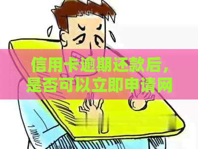 信用卡逾期还款后，是否可以立即申请网贷？需要等待多久？