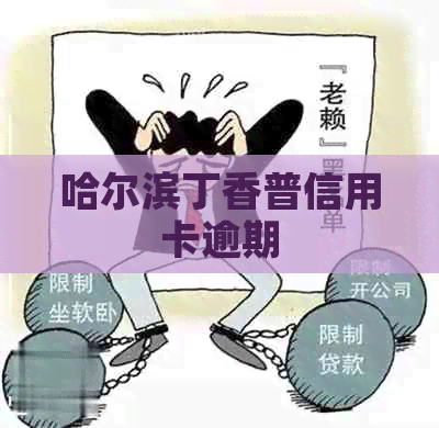 哈尔滨丁香普信用卡逾期
