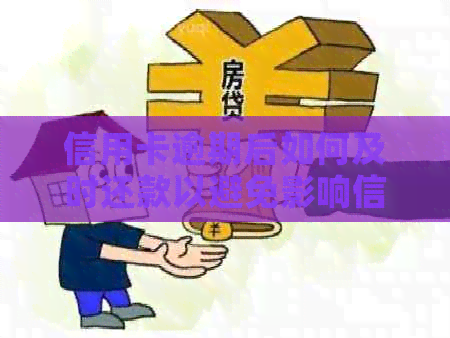 信用卡逾期后如何及时还款以避免影响信用？