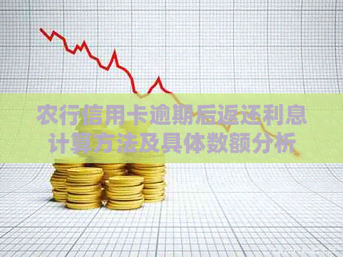 农行信用卡逾期后返还利息计算方法及具体数额分析