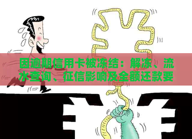 因逾期信用卡被冻结：解冻、流水查询、影响及全额还款要求