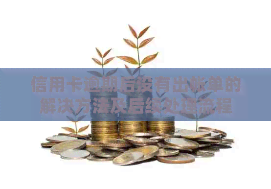 信用卡逾期后没有出帐单的解决方法及后续处理流程
