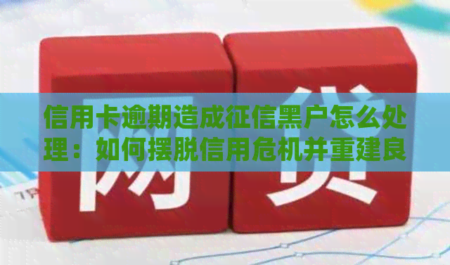 信用卡逾期造成黑户怎么处理：如何摆脱信用危机并重建良好信用记录