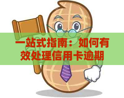 一站式指南：如何有效处理信用卡逾期问题，从根本上消除逾期记录