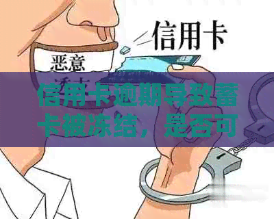 信用卡逾期导致蓄卡被冻结，是否可以期还款并了解相关政策？