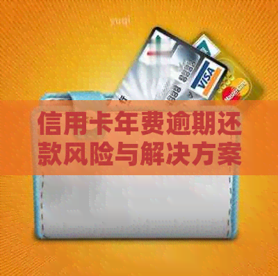 信用卡年费逾期还款风险与解决方案探讨