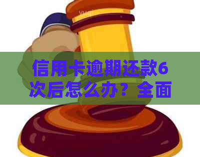 信用卡逾期还款6次后怎么办？全面解决用户搜索问题的方法与建议
