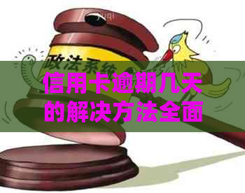 信用卡逾期几天的解决方法全面解析：如何应对逾期、避免罚息和信用损失？