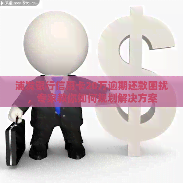 浦发银行信用卡20万逾期还款困扰，专家教你如何规划解决方案