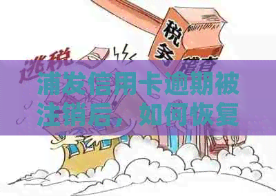 浦发信用卡逾期被注销后，如何恢复使用并解决逾期影响？