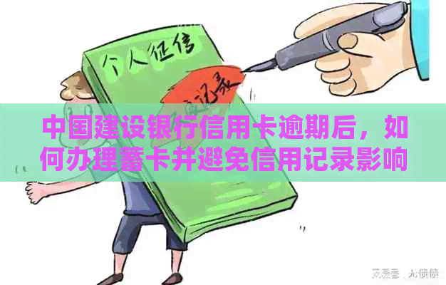 中国建设银行信用卡逾期后，如何办理蓄卡并避免信用记录影响？