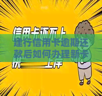 建行信用卡逾期还款后如何办理新卡并实现余额自动扣款的全解指南