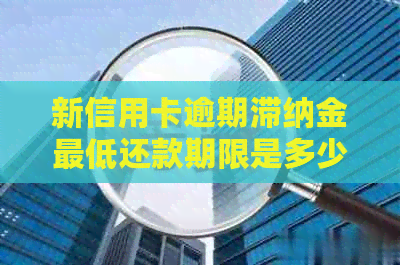 新信用卡逾期滞纳金更低还款期限是多少？如何避免高额滞纳金？