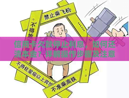 信用卡欠款停止利息，如何还清本金？详解操作步骤及注意事项