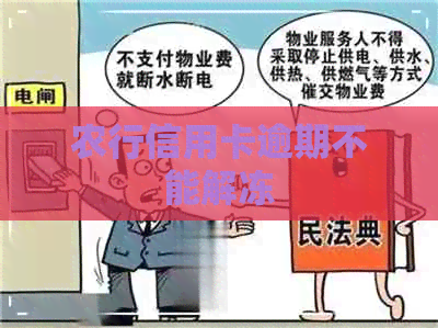 农行信用卡逾期不能解冻