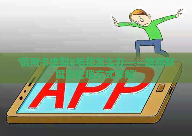 '信用卡逾期8毛钱怎么办——逾期额度及处理方式详解'