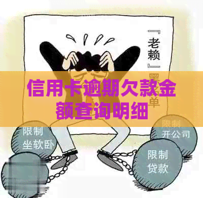 信用卡逾期欠款金额查询明细