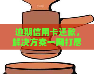 逾期信用卡还款，解决方案一网打尽！