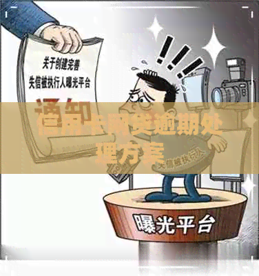 信用卡网贷逾期处理方案
