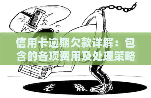 信用卡逾期欠款详解：包含的各项费用及处理策略