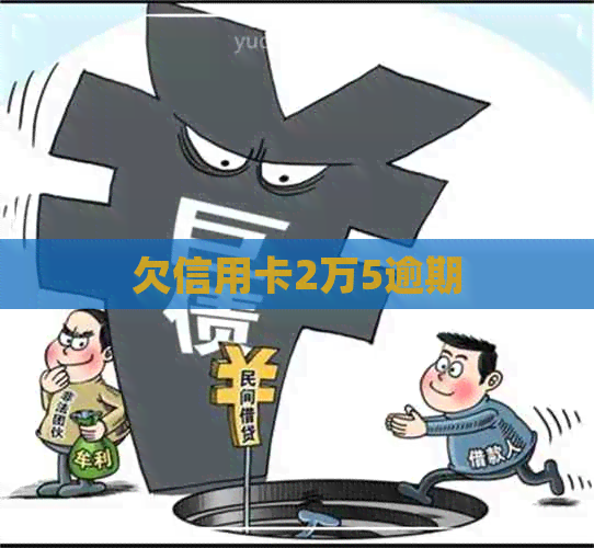 欠信用卡2万5逾期